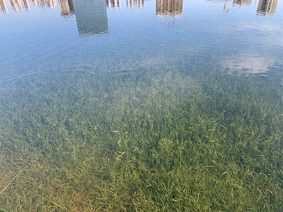 2王覺輝 2022-10-19 09-37-34.jpg