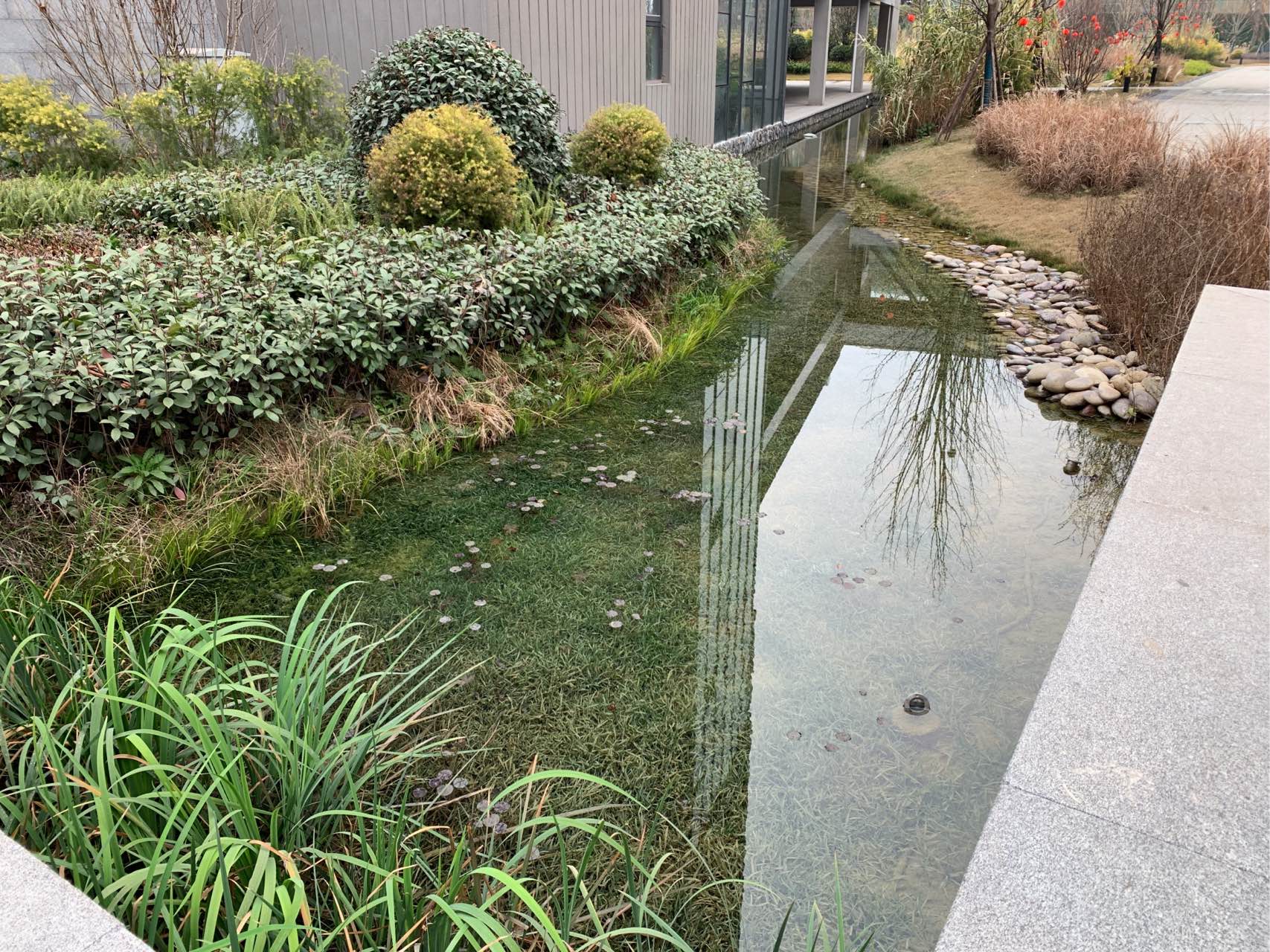 王覺輝 2023-02-02無.jpg