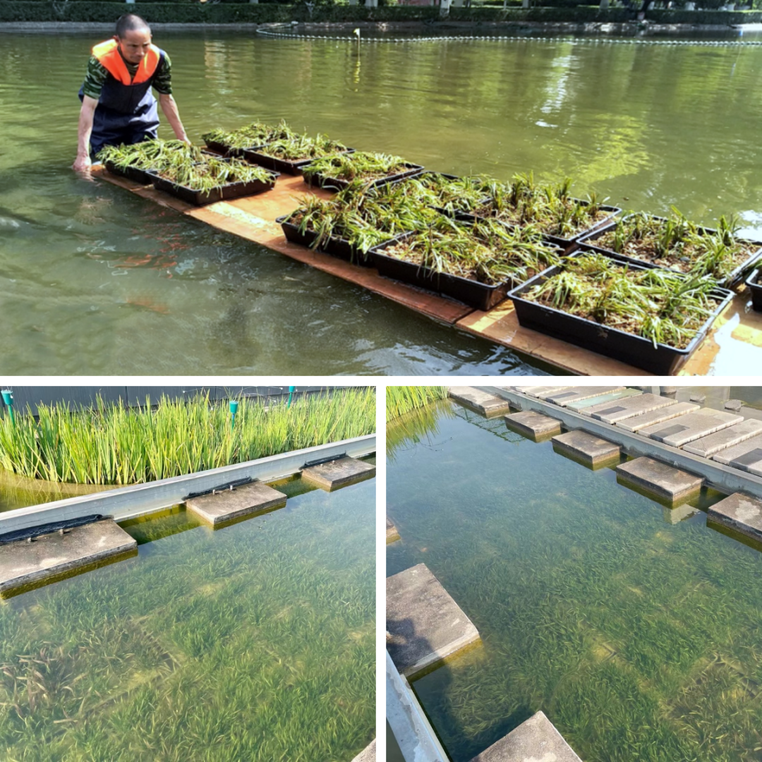 1680071089606532.png 3.png