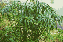 1680071119956639.png 4.png