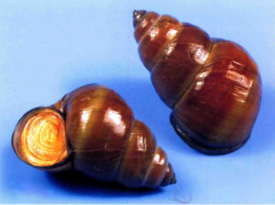 1680071166139831.png 8.png