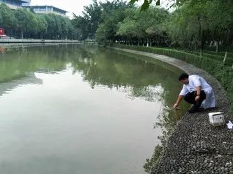 1680071198527397.jpg 10.jpg