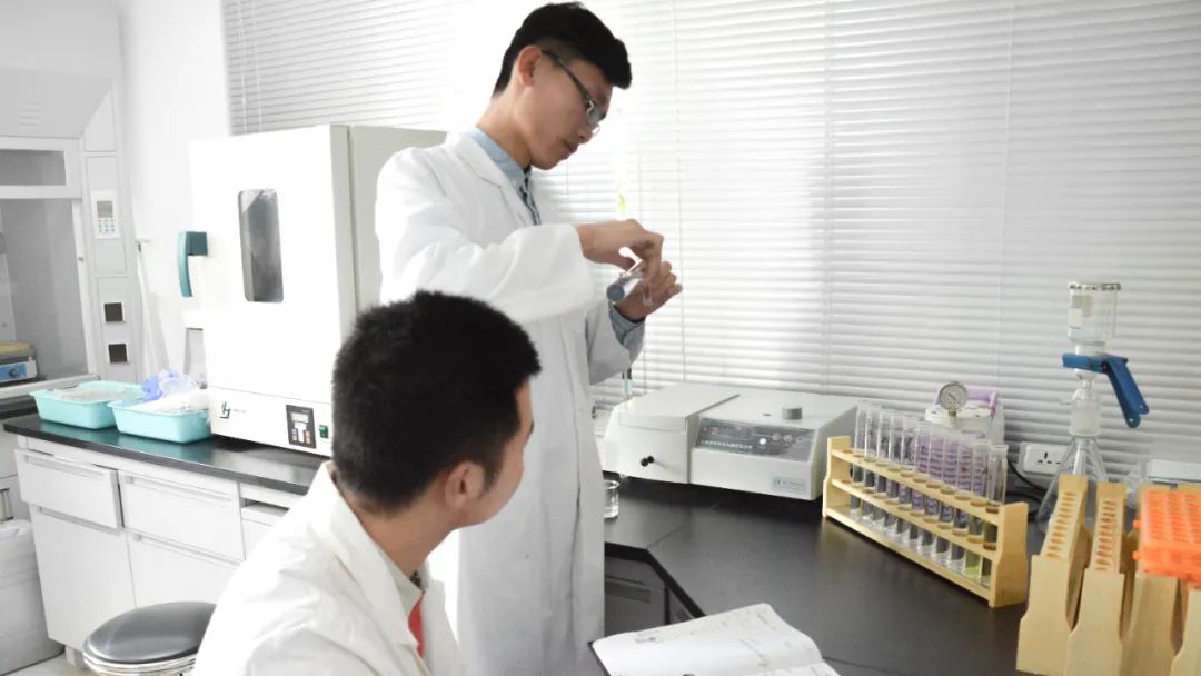 1680071207589578.jpg 11.jpg