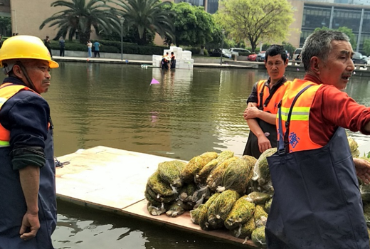 1680071223835117.png 12.png