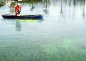 1680071235339778.jpg 13.jpg