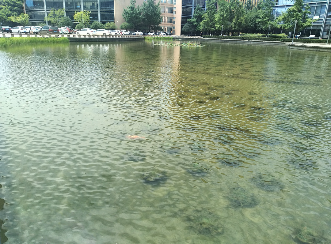 1680071251889294.png 14.png