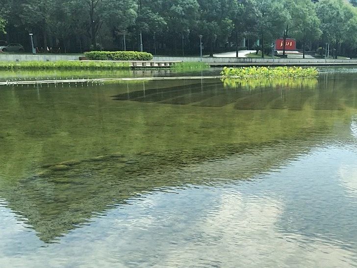 1680071279729302.jpg 16.jpg