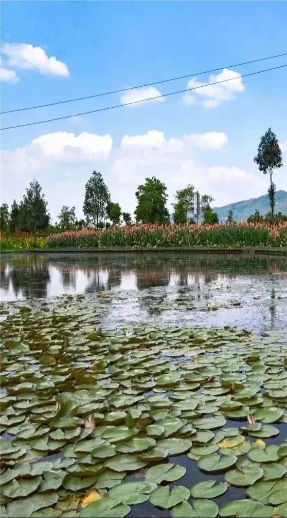 1680147098171696.jpg 2.jpg