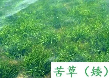 1680147164113255.jpg 6.jpg