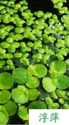 1680147264139470.jpg 13.jpg