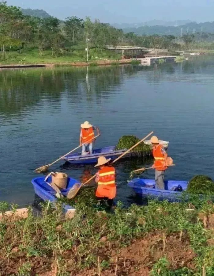 1680147314133127.jpg 16.jpg