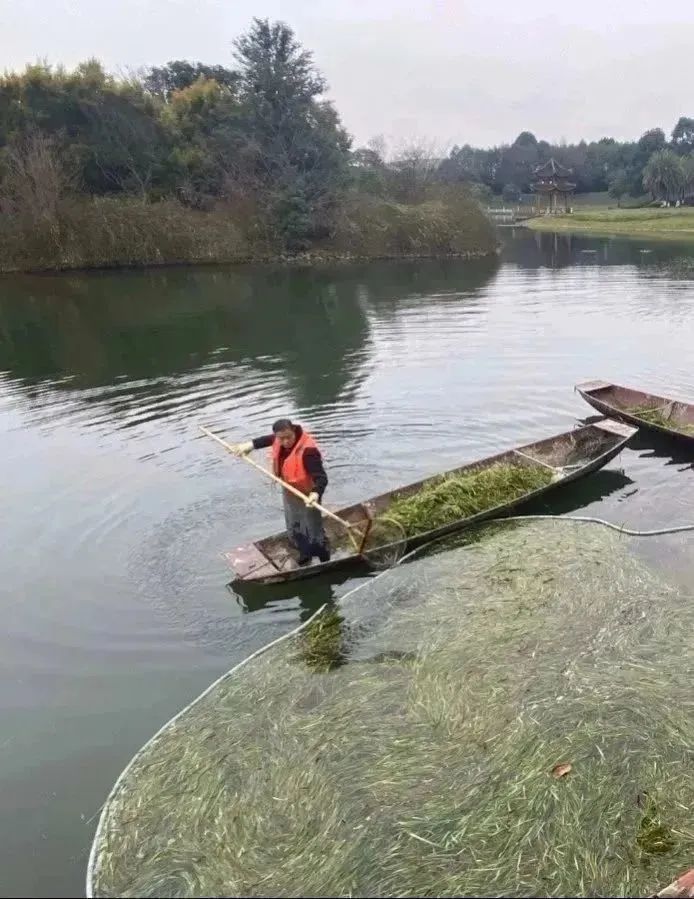 1680147325119413.jpg 17.jpg